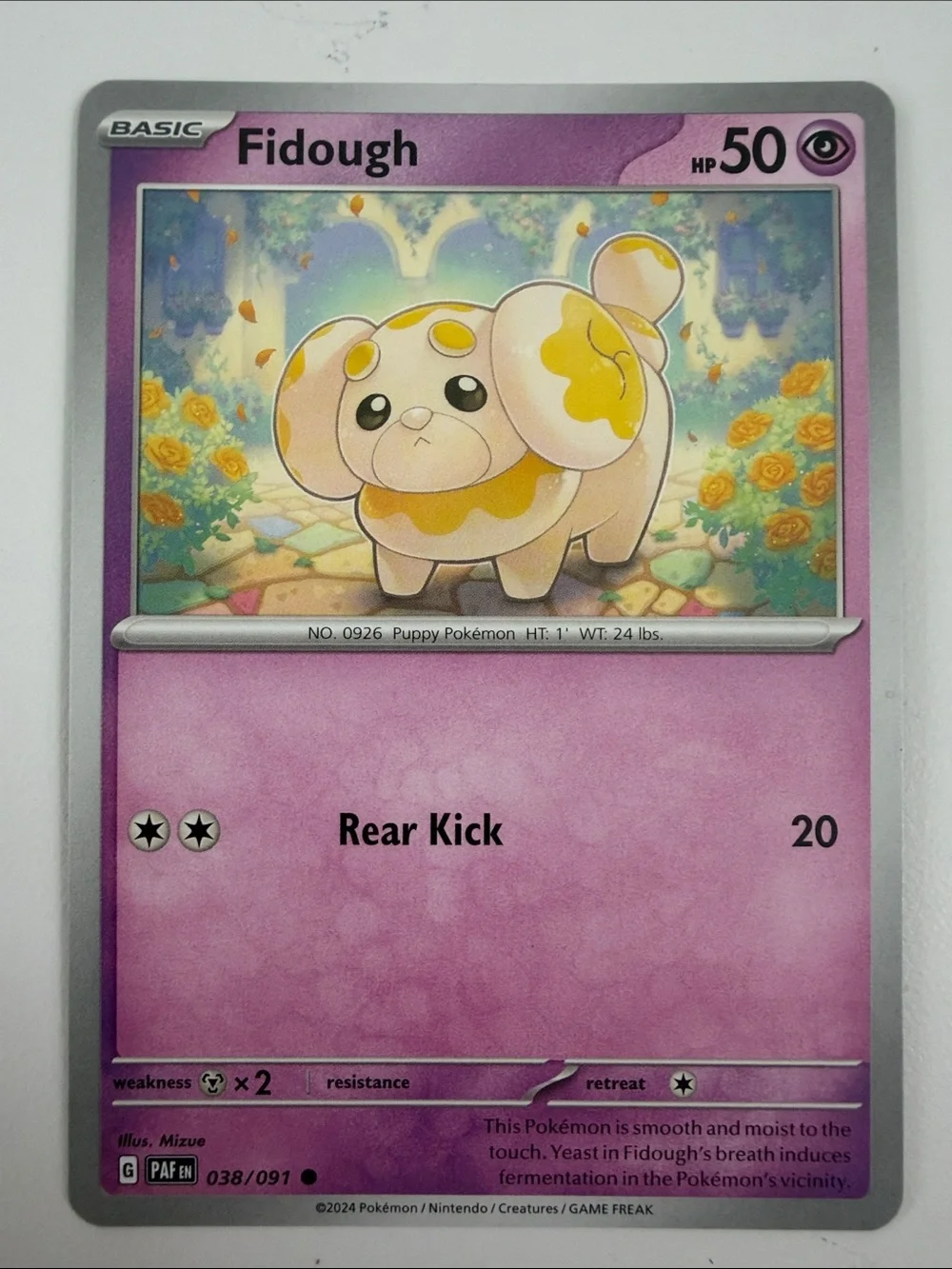 💖 Cute Pokémon Card Lot | Fidough Dachsbun Emolga Tandemaus Cherubi ✨5/$25✨